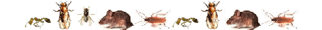 �tetnici